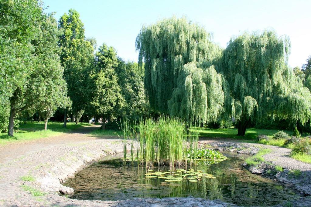 Hotel Odr Sulechów Esterno foto